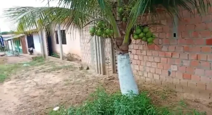 CASA COM 2 TERRENO EM 1