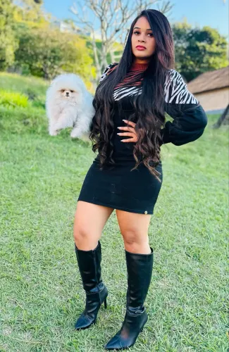 Lulu da pomerania um verdadeiro Ursinho