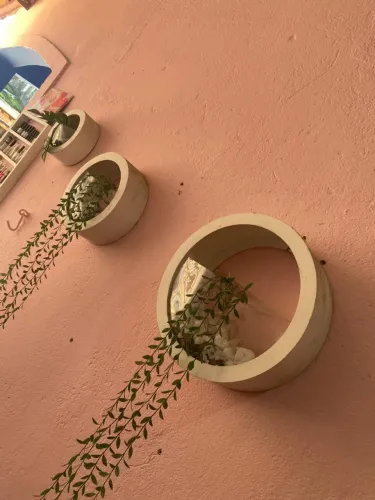 Nicho redondo planta artificial
