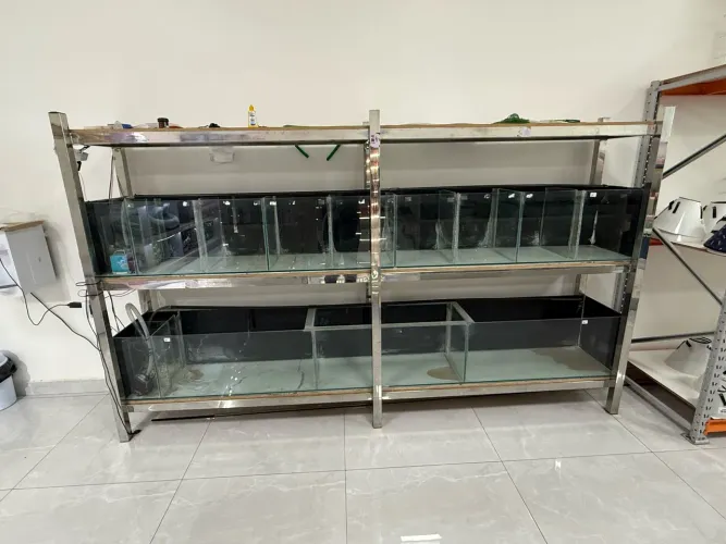 Galeria de aquário com sump