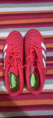 Chuteira Society Adidas Predator