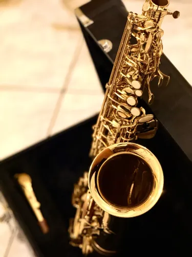 SAX ALTO EAGLE SA501 REVISADO - ÓTIMO ESTADO 