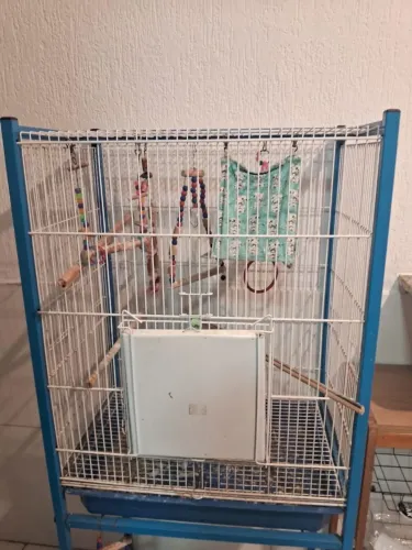 Gaiola para calopsita 