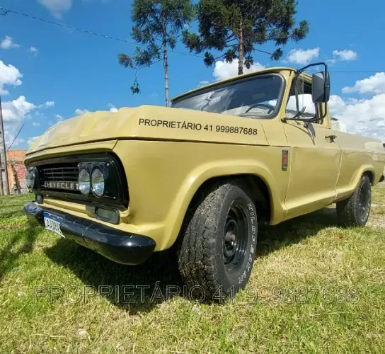 Chevrolet C-10 2.5/4.1 1977