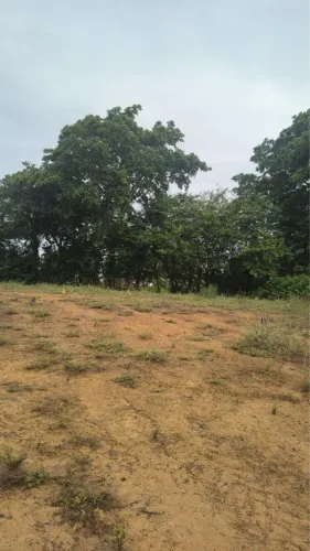 Terreno 7 por 20m