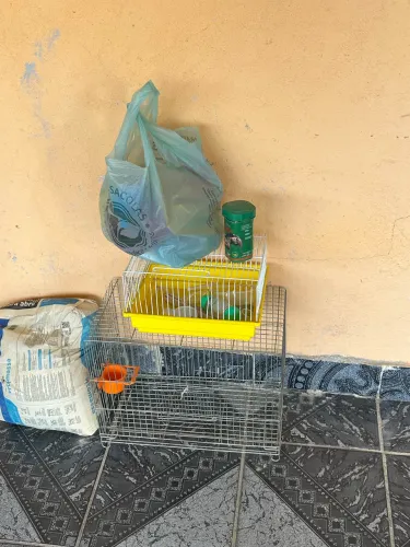 Vendo gaiolas e acessórios
