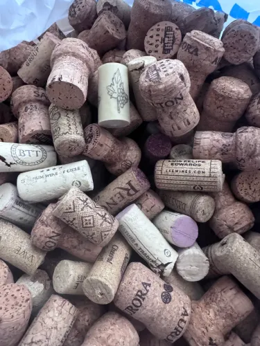 Rolhas vinho e espumante 