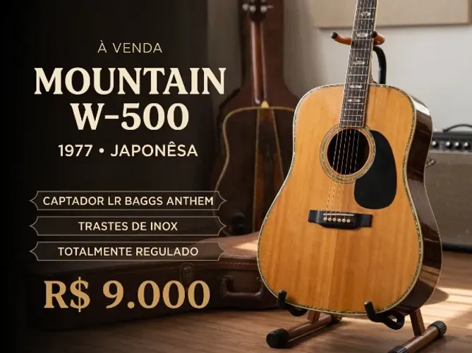 VIOLAO JAPONES MOUNTAIN W500 1977 COM LR BAGGS ANTHEM