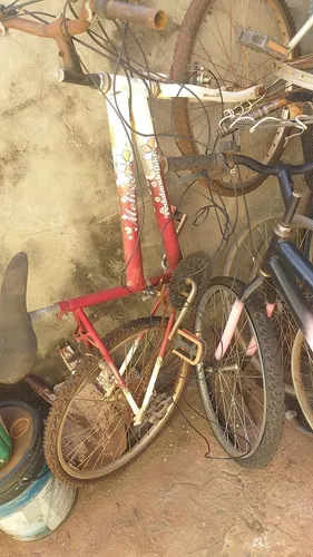 Lote de bicicletas variadas