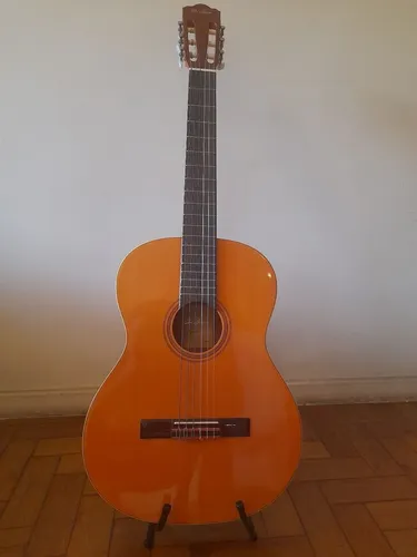 Violao Di Giorgio, Estudante N? 18, 2013