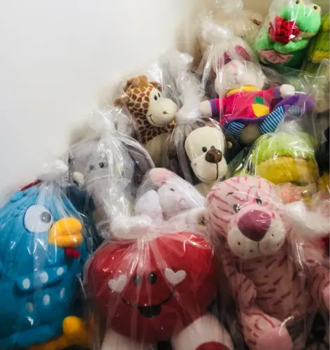 Urso Pelúcia Novo