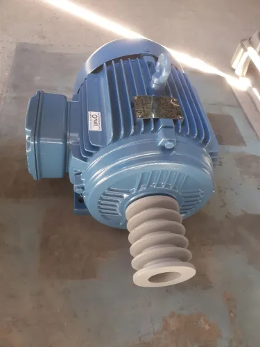 MOTOR 10 CV