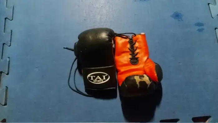 Luva Tai Sports
