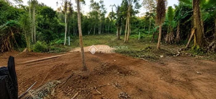 Terreno no Campeche | 360 m² | Rua Projetada | Oportunidade para Investidor
