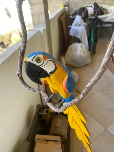 Arara Madeira Decoração