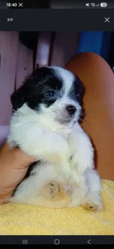 Vende-se 