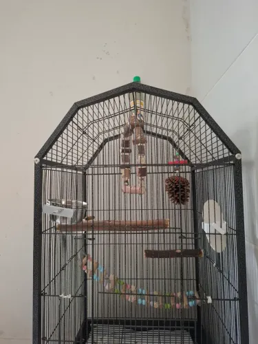 Gaiola para calopsita