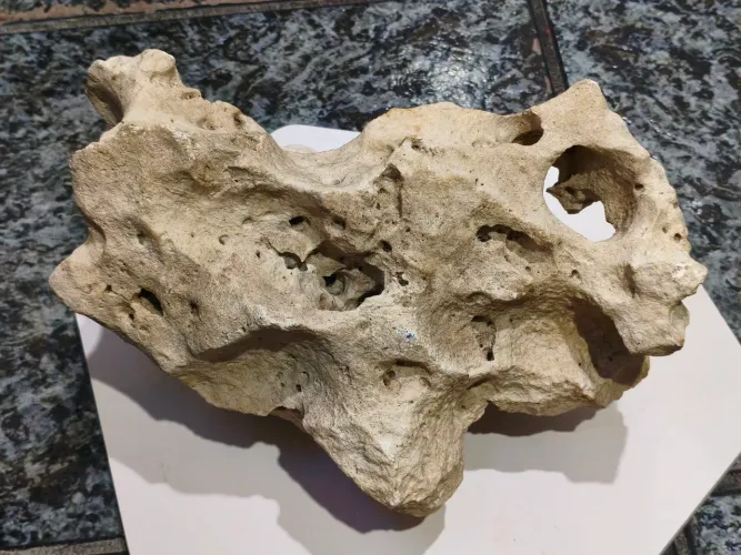Rocha Sansibar Natural +10 kg - Peça Única para Hardscape Premium