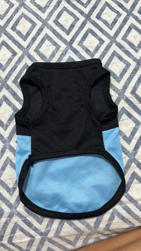 Roupa para Pet