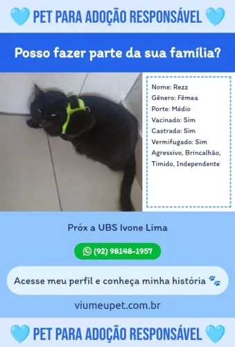 Adoção responsável 