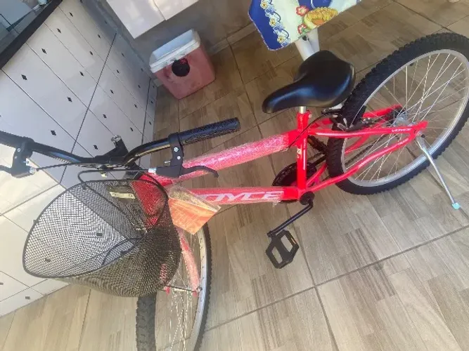 Bicicleta