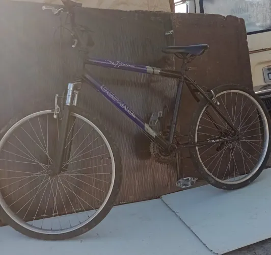 Bicicleta