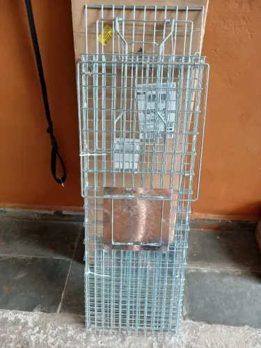 Armadilha Para Captura De Gatos Gatoeira Segura Resistente - NOVA