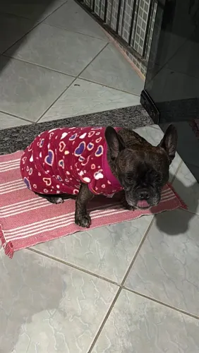 Doação 