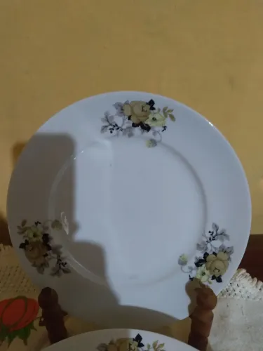 Pratos  de porcelana SRS