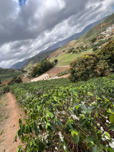 Terreno em ibatiba, Santa Maria