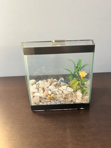Aquário Pequeno 5 litros