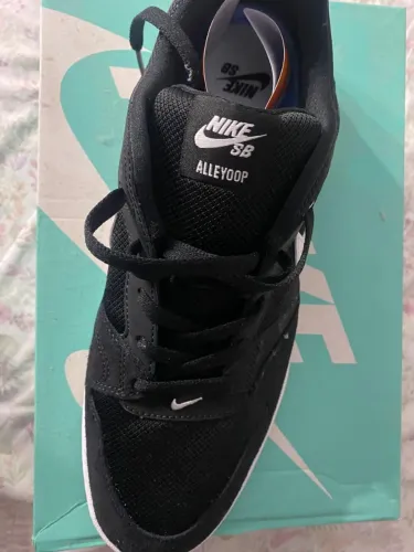Tenis