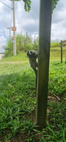 Chácara a venda