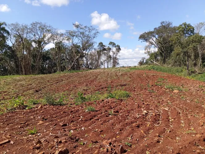 Terra Rural 6 hectares em Piratuba SC