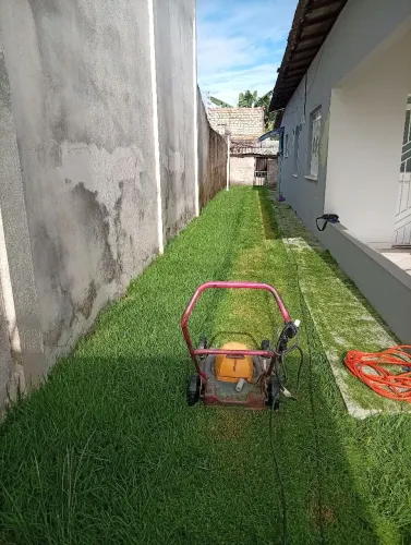 Grama Esmeralda e Jardinagem 