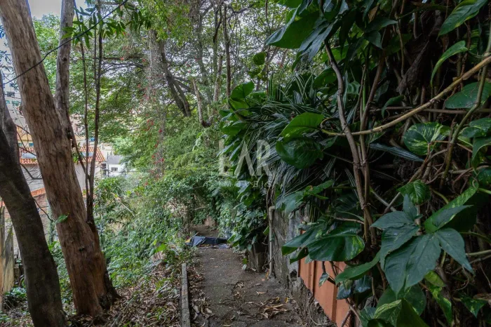 Lote - Terreno à venda, Sagrada Família - Belo Horizonte/MG