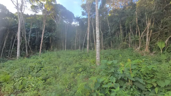 CHÁCARA 5.000m² EM MARECHAL FLORIANO | TERRA FRIA | ACEITO TROCAS E VEÍCULOS DE LEILÃO 