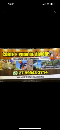 Corte e poda de árvore