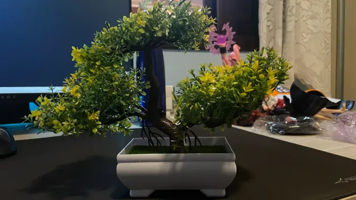Planta Bonsai Artificial 