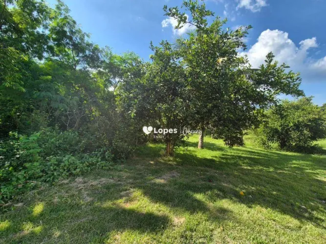Terreno para alugar, 10212 m² por R$ 12.356,50/mês - Vargem Grande - Rio de Janeiro/RJ