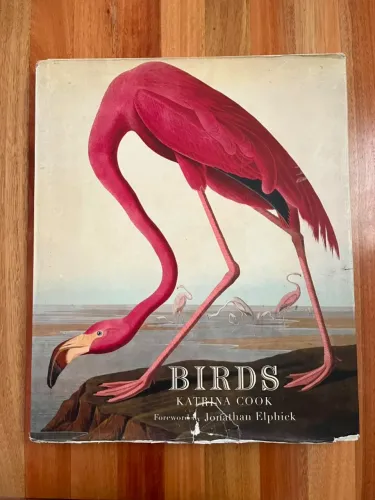 Birds: The Art Of Ornithology (en Inglês)