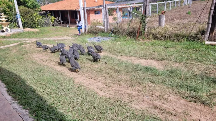Sítio a venda 
