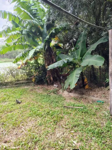 Vendo ou troco sítio por casa na praia
