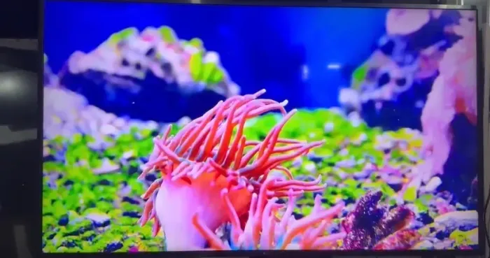 Tv LG 70 polegadas