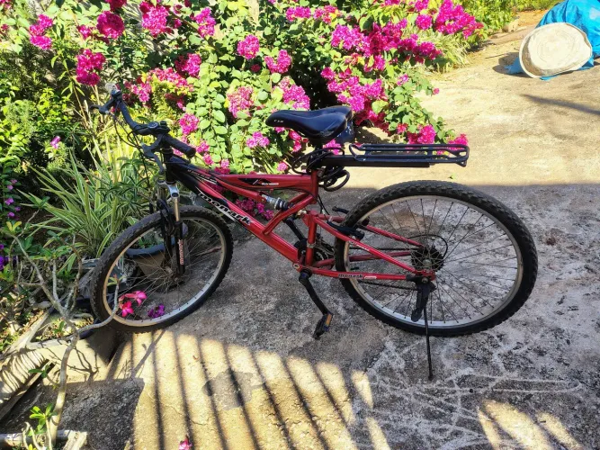 Bicicleta 
