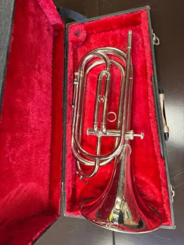 Cornetão de Fanfarra Weril de 1 pistão