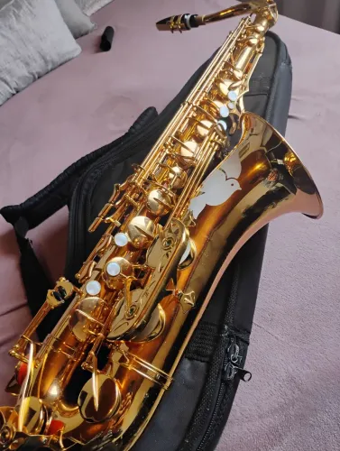 Sax Tenor weril Spectra 2