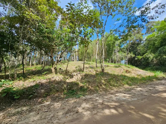 Sítio em Taiaçupeba Mogi das Cruzes