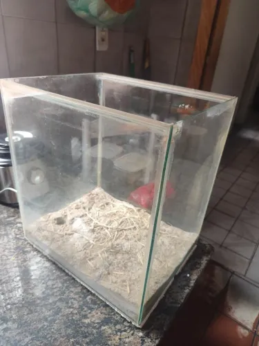 Aquário 47 litros 