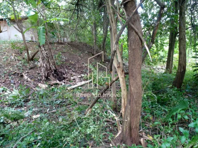 Terreno à venda em São Paulo - Vila Alpina 2.000m² de área - Oportunidade Única!